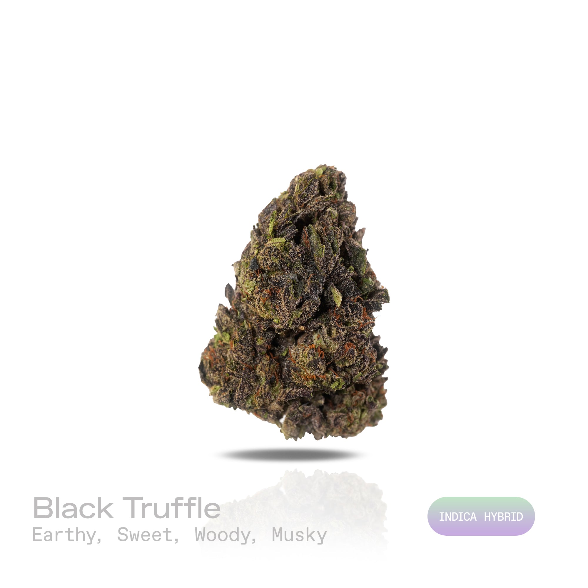PUFFY Black Truffle is a premium indica-dominant hybrid THCa strain, born from the flavorful cross of Gelato 33 and Chocolate Kush. The aroma is a rich blend of earthy, sweet, and woody notes, with a deep musky undertone that lingers beautifully. Visually, the dense buds range from dark green to deep purple, coated in a thick layer of frosty trichomes and highlighted by bright orange hairs. Consumers often report a euphoric, uplifting mental buzz followed by deep body relaxation and a calming effect, making