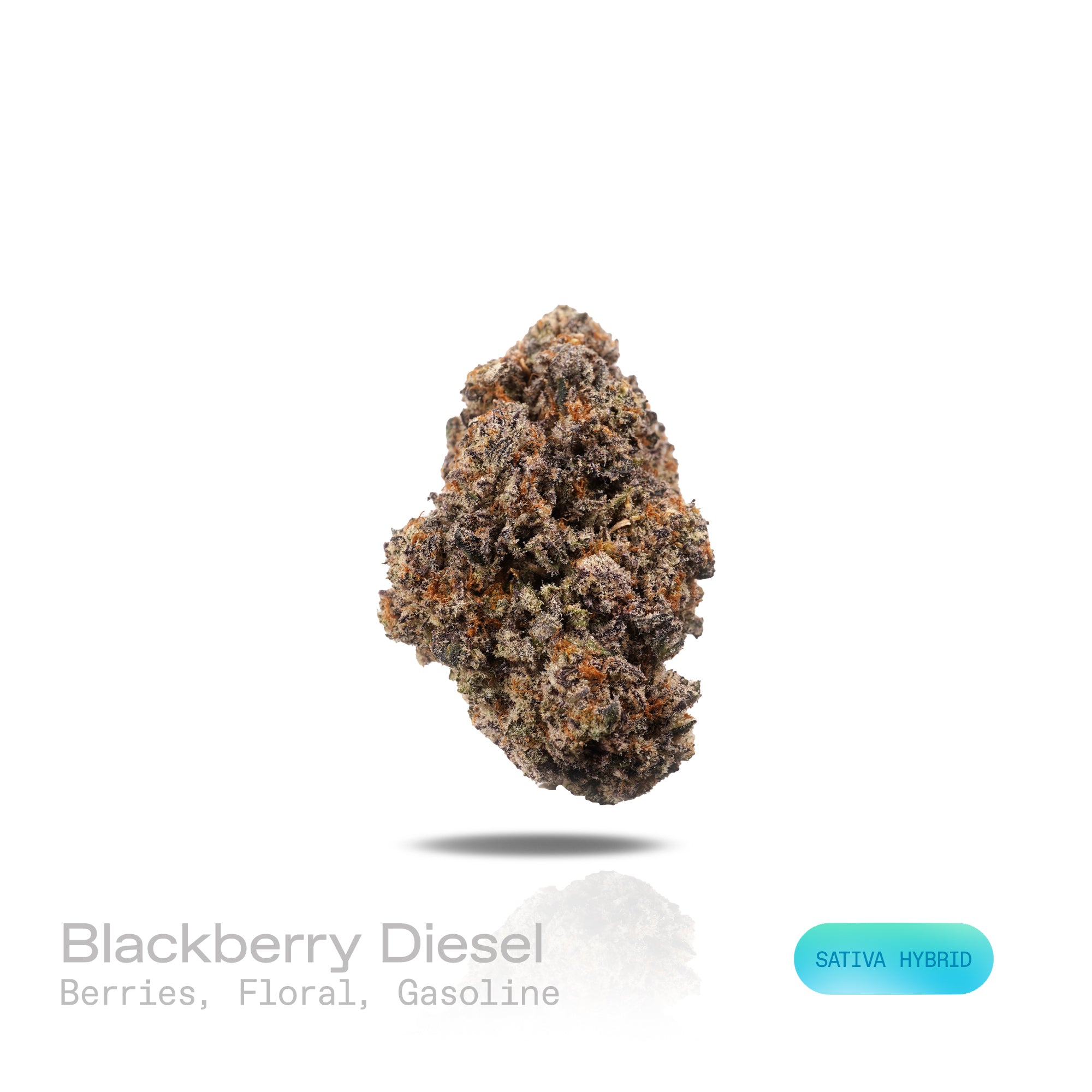 PUFFY Blackberry Diesel is a sativa-dominant hybrid THCa strain, expertly crafted from the cross of East Coast Sour Diesel and Plushberry. The aroma presents a complex blend of sweet berries, delicate floral notes, and a hint of gasoline, creating a uniquely vibrant and intriguing scent profile. Visually, compact buds burst with neon green, lavender, and deep purple, streaked with orange pistils and frosted in sparkling trichomes. Consumers frequently describe a wave of euphoria accompanied by heightened en