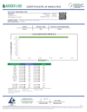 PUFFY Blue Cherry THCa is a delightful hybrid strain known for its calming yet uplifting effects, making it suitable for both relaxation and social activities. A cross between Blue Dream and Cherry Pie, it delivers a well-rounded experience that combines euphoria with gentle physical relaxation. Blue Cherry features light green hues with deep purple shades and thin bright golden hairs, dusted with tiny trichomes. Blue Cherry is popular among users seeking to alleviate stress and enhance mood while maintaini