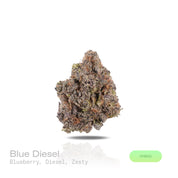 PUFFY Blue Diesel is a balanced hybrid THCa strain, born from the legendary cross between Blueberry and NYC Diesel. The aroma opens with sweet, ripe blueberry notes, blended with sharp diesel undertones and a lively, zesty finish. Visually, the buds are dense and vibrant, showcasing deep forest-green tones accented with subtle purple and indigo hues, bright orange pistils, and a generous coating of sparkling trichomes. Consumers often describe the effects as blissfully euphoric and uplifting, combined with 