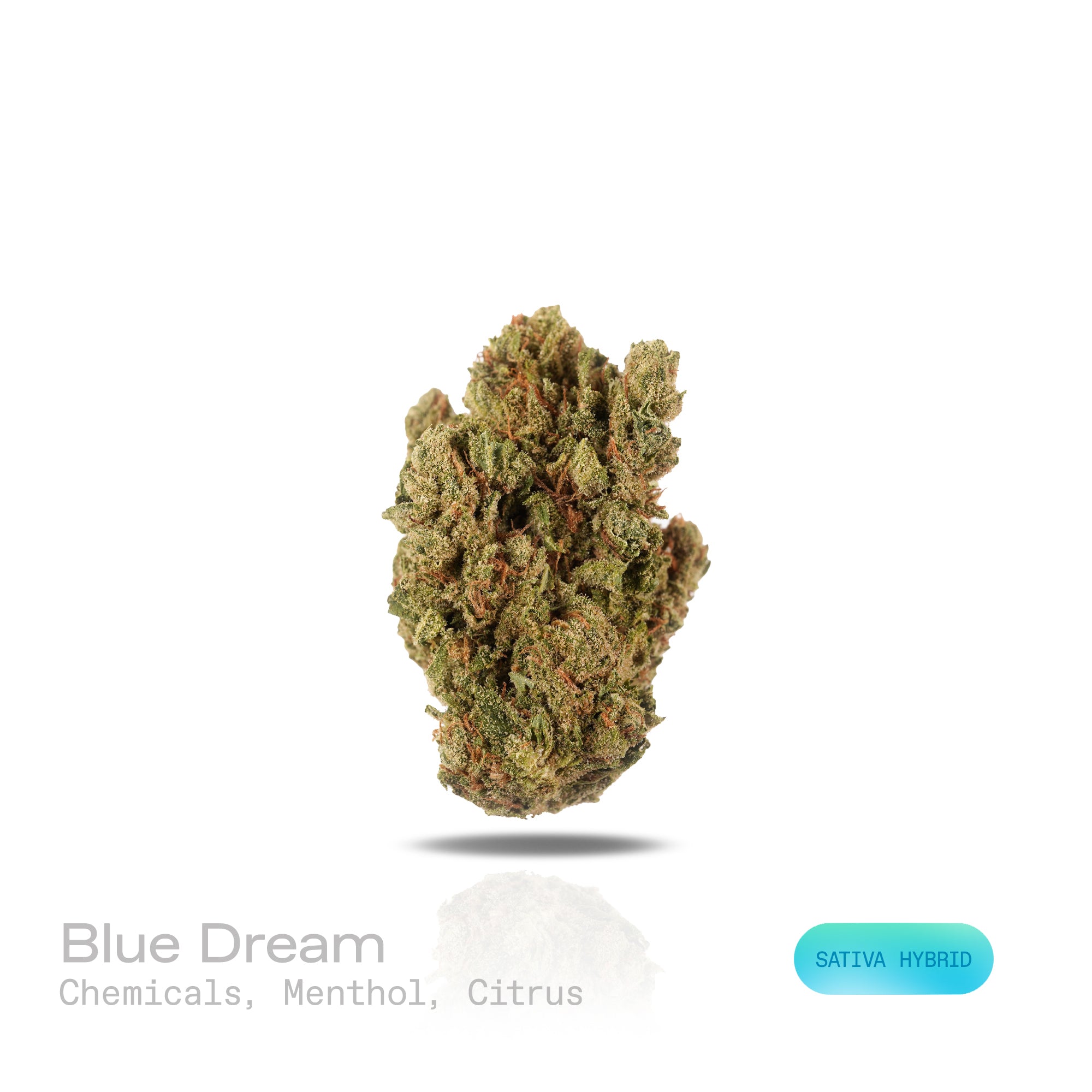 PUFFY Blue Dream is a sativa-dominant hybrid THCa strain born from the legendary cross between Blueberry and Haze. Aroma is sharp and complex, blending bold chemical notes with a cool rush of menthol and a zesty twist of citrus. Visually stunning, its dense, bright green buds are accented by deep blue hues, fiery orange pistils, and a generous dusting of icy trichomes making it as eye-catching as it is effective. Consumers often report a euphoric, uplifting head high that flows into a gentle, motivating bod