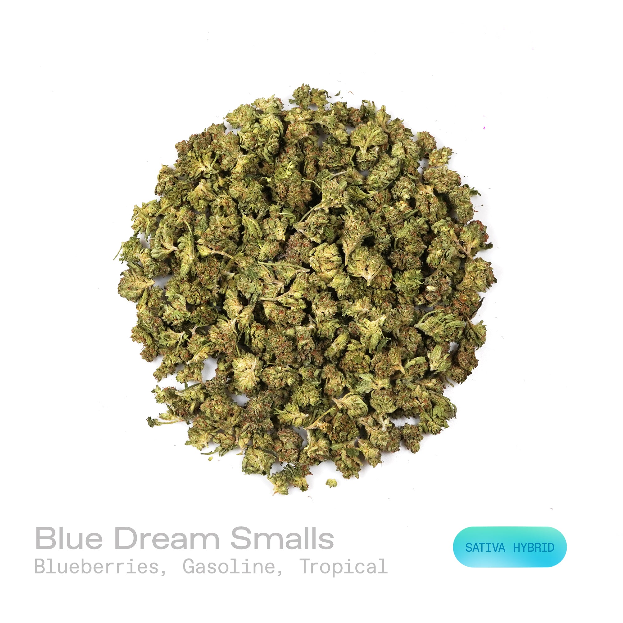 PUFFY Blue Dream (smalls) is a sativa-dominant hybrid THCa strain born from the legendary cross between Blueberry and Haze. The aroma is a captivating blend of sweet blueberries, sharp gasoline notes, and tropical undertones, creating an intriguing and memorable scent experience. Visually stunning, its dense, bright green buds are accented by deep blue hues, fiery orange pistils, and a generous dusting of icy trichomes making it as eye-catching as it is effective. Consumers often report a euphoric, upliftin