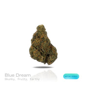 PUFFY Blue Dream is a sativa-dominant hybrid THCa strain born from the legendary cross between Blueberry and Haze. The aroma bursts with a rich blend of fruity sweetness layered with ripe berries, underscored by a bold skunky finish that adds depth and complexity. Visually stunning, its dense, bright green buds are accented by deep blue hues, fiery orange pistils, and a generous dusting of icy trichomes making it as eye-catching as it is effective. Consumers often report a euphoric, uplifting head high that