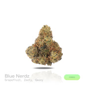 PUFFY Blue Nerdz is a balanced hybrid THCa strain, born from the fusion of Forbidden Fruit and Watermelon Z. The aroma bursts with sweet candy notes intertwined with ripe berries and a fresh piney finish, offering a delightful blend of fruity and forest-like scents. Visually, it features compact, bulbous buds in green and deep purple hues, highlighted by orange pistils and a thick frost of trichomes. Consumers often report an initial cerebral uplift characterized by euphoria, elevated mood, and a burst of c