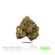 PUFFY Blue Nerdz is a balanced hybrid THCa strain, born from the fusion of Forbidden Fruit and Watermelon Z. The aroma bursts with sweet candy notes intertwined with ripe berries and a fresh piney finish, offering a delightful blend of fruity and forest-like scents. Visually, it features compact, bulbous buds in green and deep purple hues, highlighted by orange pistils and a thick frost of trichomes. Consumers often report an initial cerebral uplift characterized by euphoria, elevated mood, and a burst of c