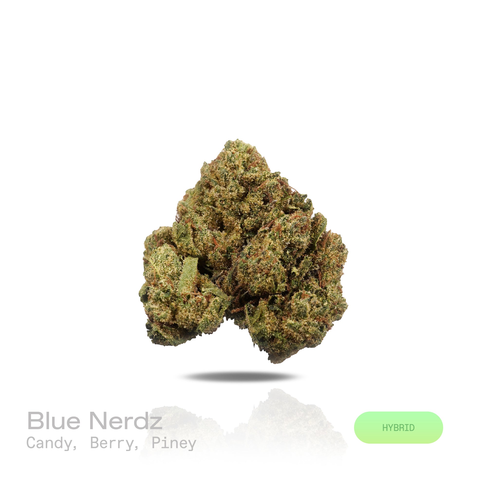 PUFFY Blue Nerdz is a balanced hybrid THCa strain, born from the fusion of Forbidden Fruit and Watermelon Z. The aroma bursts with sweet candy notes intertwined with ripe berries and a fresh piney finish, offering a delightful blend of fruity and forest-like scents. Visually, it features compact, bulbous buds in green and deep purple hues, highlighted by orange pistils and a thick frost of trichomes. Consumers often report an initial cerebral uplift characterized by euphoria, elevated mood, and a burst of c
