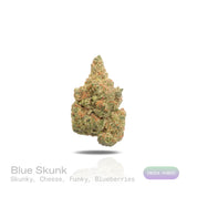 PUFFY Blue Skunk is an indica-dominant hybrid THCa strain, born from the legendary cross of Blueberry and Skunk. The aroma is a bold and memorable blend, with pungent skunky notes, rich cheesy undertones, a funky earthiness, and a subtle hint of sweet blueberries. Visually, buds are dense and frosty, featuring deep green and purple hues with bright orange pistils and a thick coating of sparkling trichomes. Consumers often report a relaxing and euphoric experience accompanied by bursts of laughter, along wit