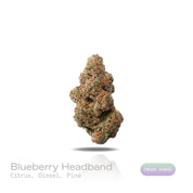 PUFFY Blueberry Headband is an indica-dominant hybrid THCa strain, crafted from the legendary lineage of  Blueberry × Headband. The aroma bursts with sharp citrus notes, balanced by bold diesel accents and grounded with fresh pine undertones, creating a bright yet earthy scent profile. Visually, the buds are dense and green, adorned with bright orange pistils and coated in a thick, frosty layer of glistening trichomes. Consumers often report a euphoric, happy, and relaxed high, an experience that combines a