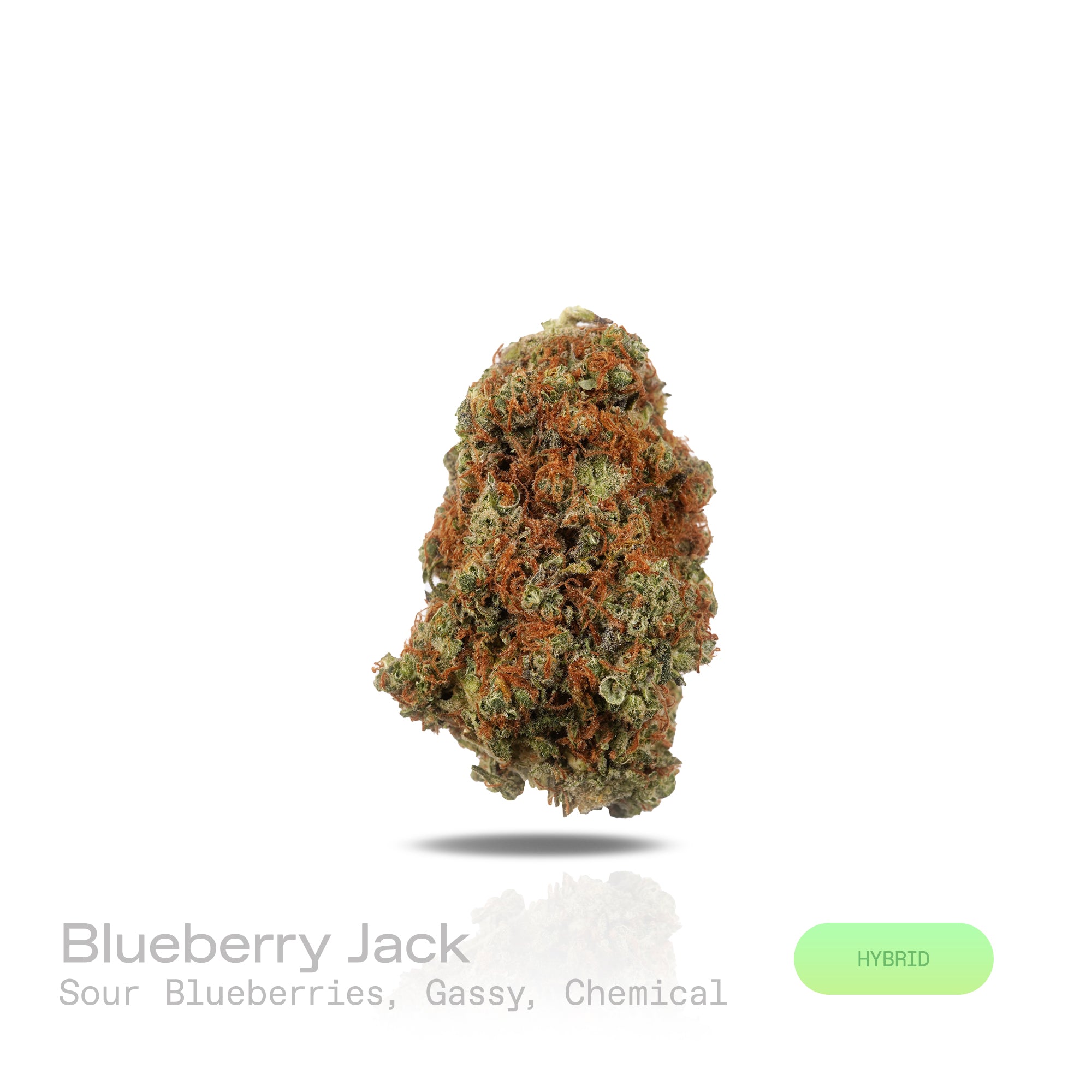 PUFFY Blueberry Jack is a balanced hybrid THCa strain, expertly crafted from a potent cross between Jack Herer × DJ Short Blueberry. Aroma is a sharp blend of sour blueberries layered with pungent gas and a hint of chemical sharpness. Visually, medium to large buds show a dense structure, green to purple hues, bright pistils, and a frosty trichome coat. Consumers often report an uplifting, euphoric high that boosts mood and focus with cerebral energy, balanced by light physical relaxation.
