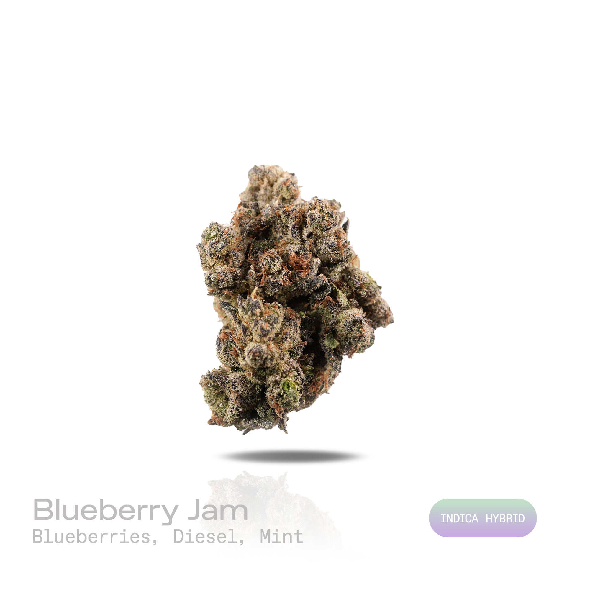 PUFFY Blueberry Jam is an indica-dominant hybrid THCa strain, born from the legendary cross between Blueberry and Northern Lights. The aroma unfolds with sweet blueberries, sharp diesel undertones, and a refreshing hint of mint, creating a bold and intriguing scent profile. Visually, dense, chunky buds showcase forest green and golden tones, highlighted by orange pistils and deep blue hints, all dusted with sparkling trichomes. Consumers often describe a harmonious high that starts with a bright, uplifting 