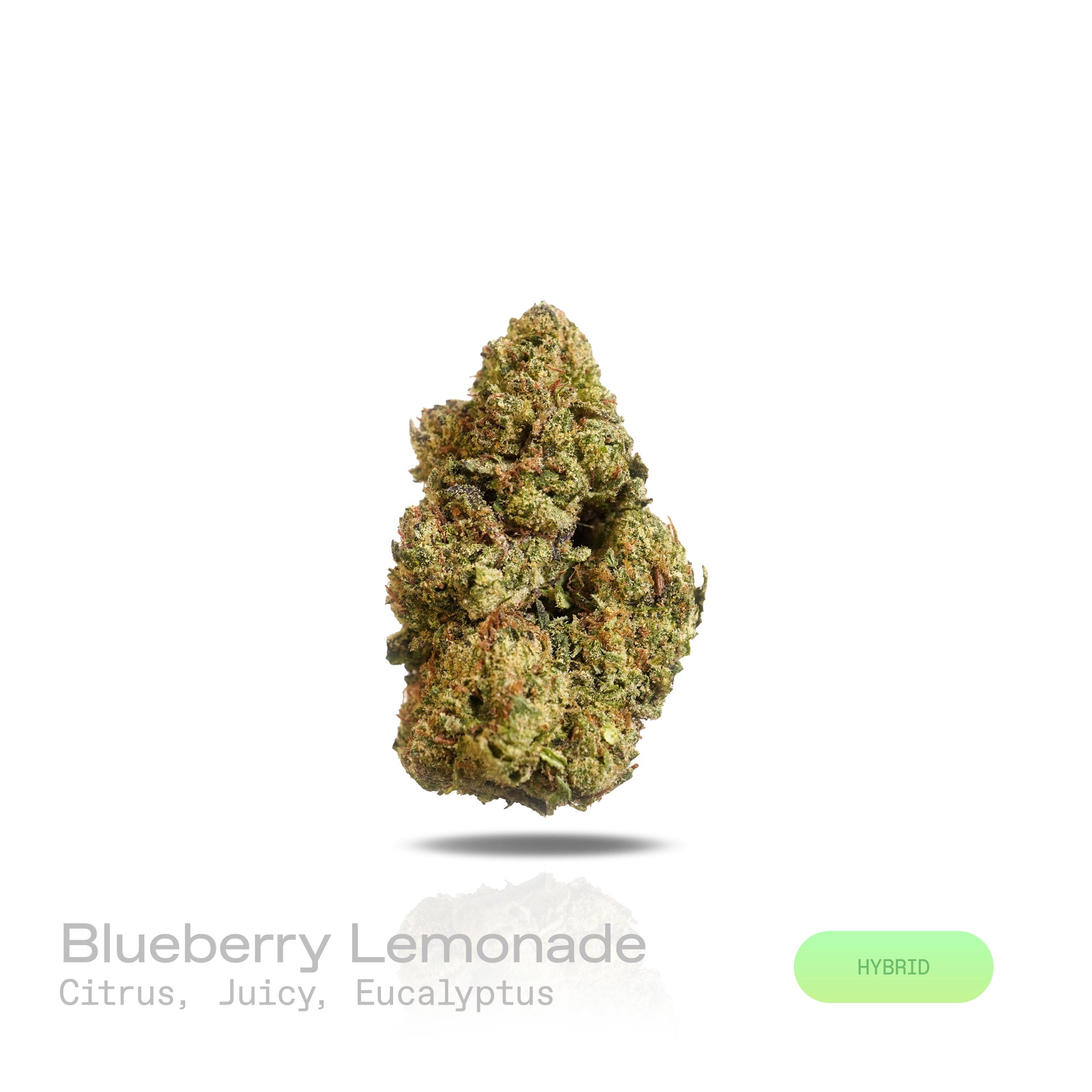 PUFFY Blueberry Lemonade is a balanced hybrid THCa strain born from the flavorful fusion of Blueberry Fuel and Vegas Lemon Skunk. It offers a refreshing aromatic profile, bright citrus and juicy berry notes layered with a cool touch of eucalyptus, creating a clean and invigorating finish. Visually, buds are dense and frosty, showcasing rich emerald-green tones accented by fiery orange pistils and occasional flashes of deep purple, all enveloped in a generous coat of glistening white trichomes. Consumers oft