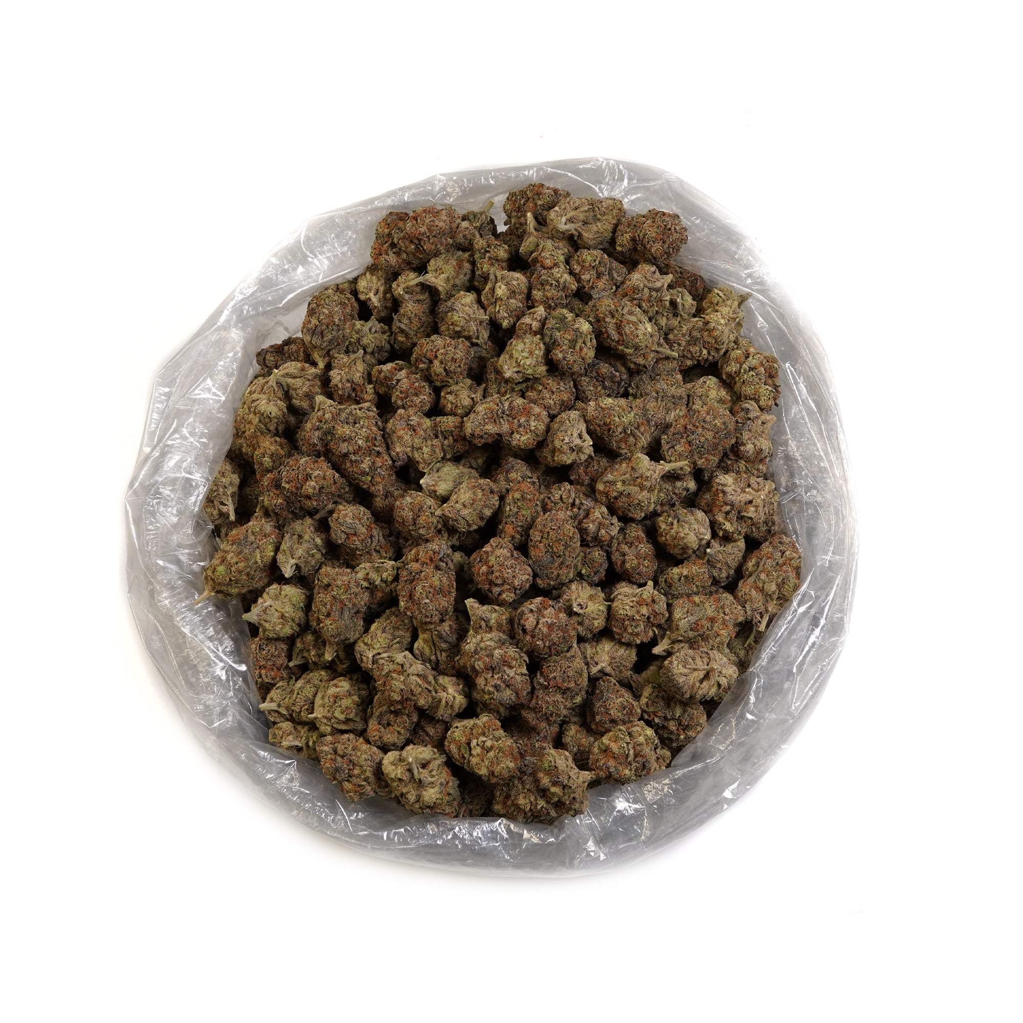 PUFFY Blueberry Pancake is an indica-dominant hybrid born from the cross of DJ Short Blueberry and either Purple Panty Dropper or a hybrid with Slurricane. Its aroma delivers a striking blend of sharp chemical and gassy notes, balanced by the sweet, refreshing scent of ripe fruits and fresh berries. Visually, the buds are dense and heavily coated in trichomes, displaying a vibrant mix of deep green, blue-purple, and olive tones, accented by bright orange pistils and a thick layer of visible resin. Consumers