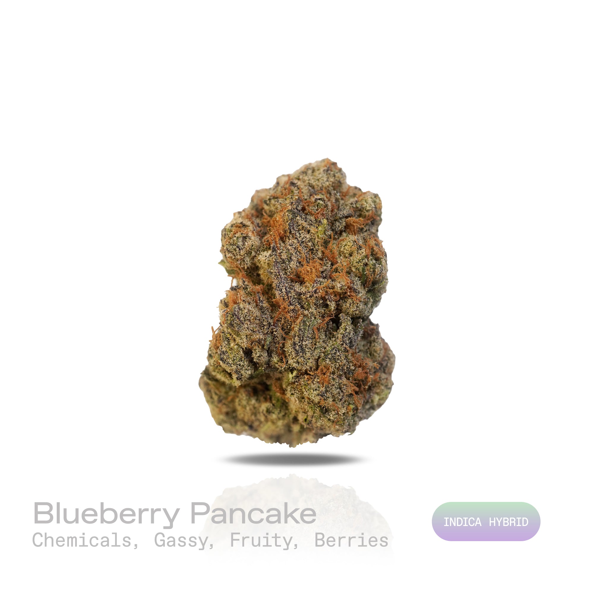 PUFFY Blueberry Pancake is an indica-dominant hybrid born from the cross of DJ Short Blueberry and either Purple Panty Dropper or a hybrid with Slurricane. Its aroma delivers a striking blend of sharp chemical and gassy notes, balanced by the sweet, refreshing scent of ripe fruits and fresh berries. Visually, the buds are dense and heavily coated in trichomes, displaying a vibrant mix of deep green, blue-purple, and olive tones, accented by bright orange pistils and a thick layer of visible resin. Consumers