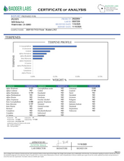 PUFFY Blueberry ZKZ is an indica-dominant hybrid THCa strain, crafted from the legendary lineage of Blueberry × ZKZ. The aroma blends sweet berry and candy notes with a bold, fuel-like edge, creating a strikingly sweet yet gassy scent profile. Visually, the buds are dense with subtle blue hues, vibrant orange pistils, and a thick, shimmering coating of frosty trichomes. Consumers often report an uplifted mood and creative spark accompanied by a relaxing, mellow body effect, with increased appetite.
