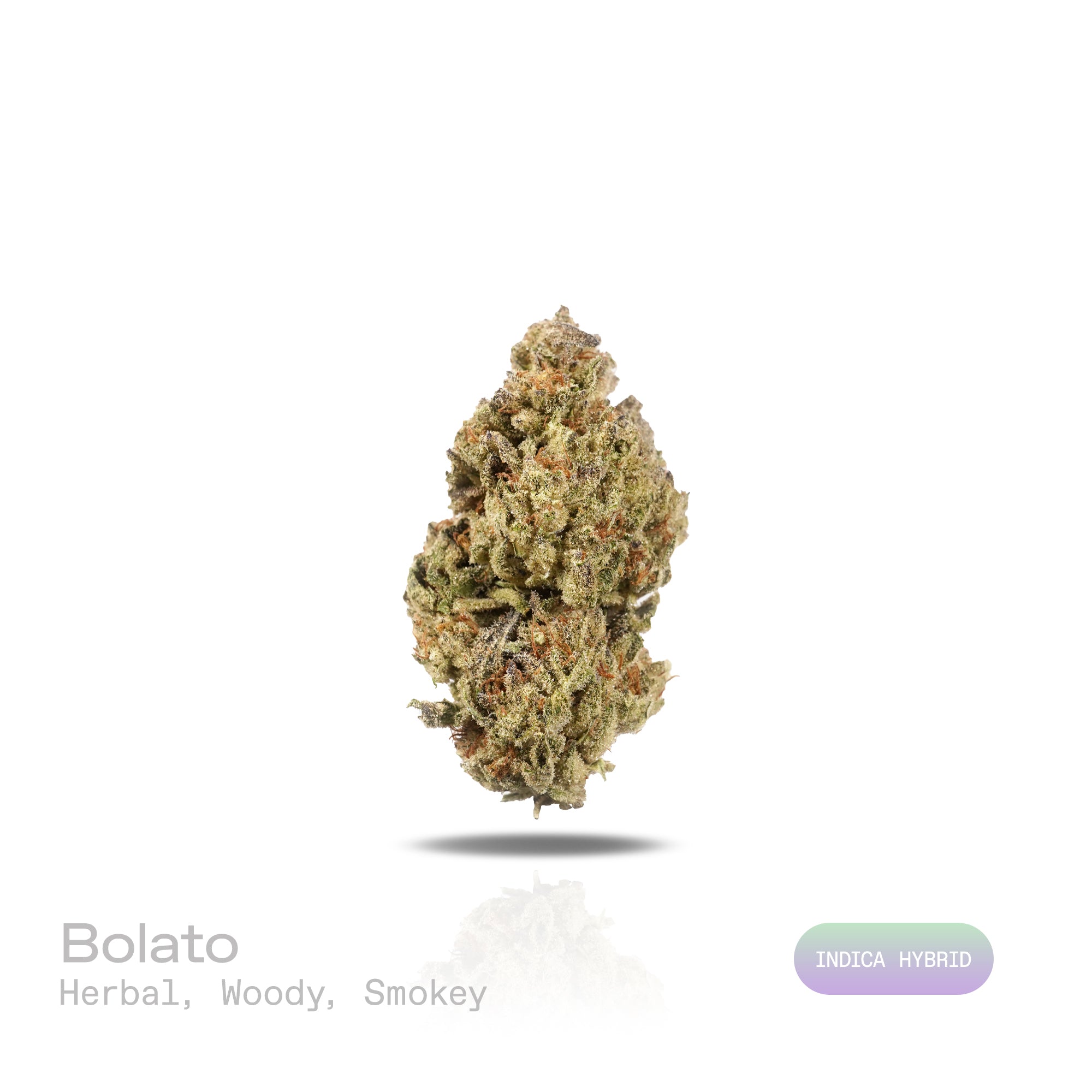 PUFFY Bolato is an indica-dominant hybrid THCa strain, expertly crafted from a premium blend of Curelato, Runtz, and Lemon Cherry Gelato. The aroma is a rich blend of herbal, woody, and smokey notes, creating a deep, earthy scent that lingers pleasantly in the air. Visually, dense green buds with purple hues and fiery orange pistils are coated in sticky trichomes. Consumers often report a euphoric and deeply relaxing experience that helps reduce stress while potentially easing both anxiety and physical disc