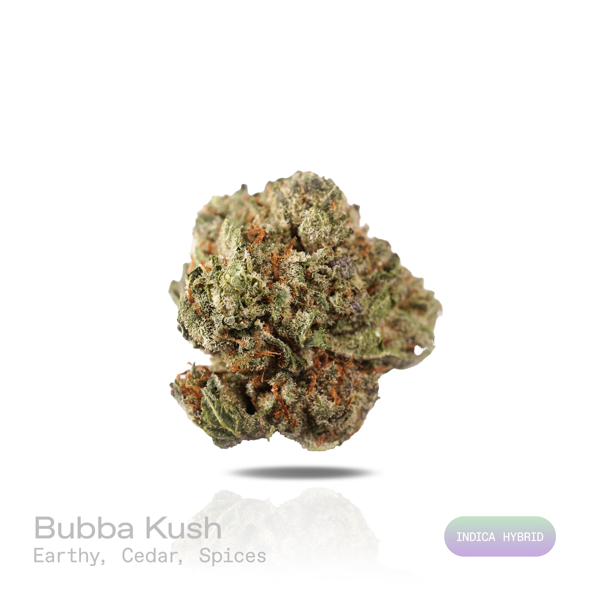 PUFFY Bubba Kush is an indica-dominant hybrid THCa strain, crafted from the legendary lineage of OG Kush × Afghani Indica. The aroma carries deep earthy tones layered with warm cedar and a subtle kick of spice. Visually striking, the buds are dense and resin-packed, shimmering with frosty trichomes over deep green and purple hues accented by bright orange hairs. Consumers often describe the effects as a wave of full-body relaxation that eases stress and pain, encourages restful sleep, and sparks a welcome b