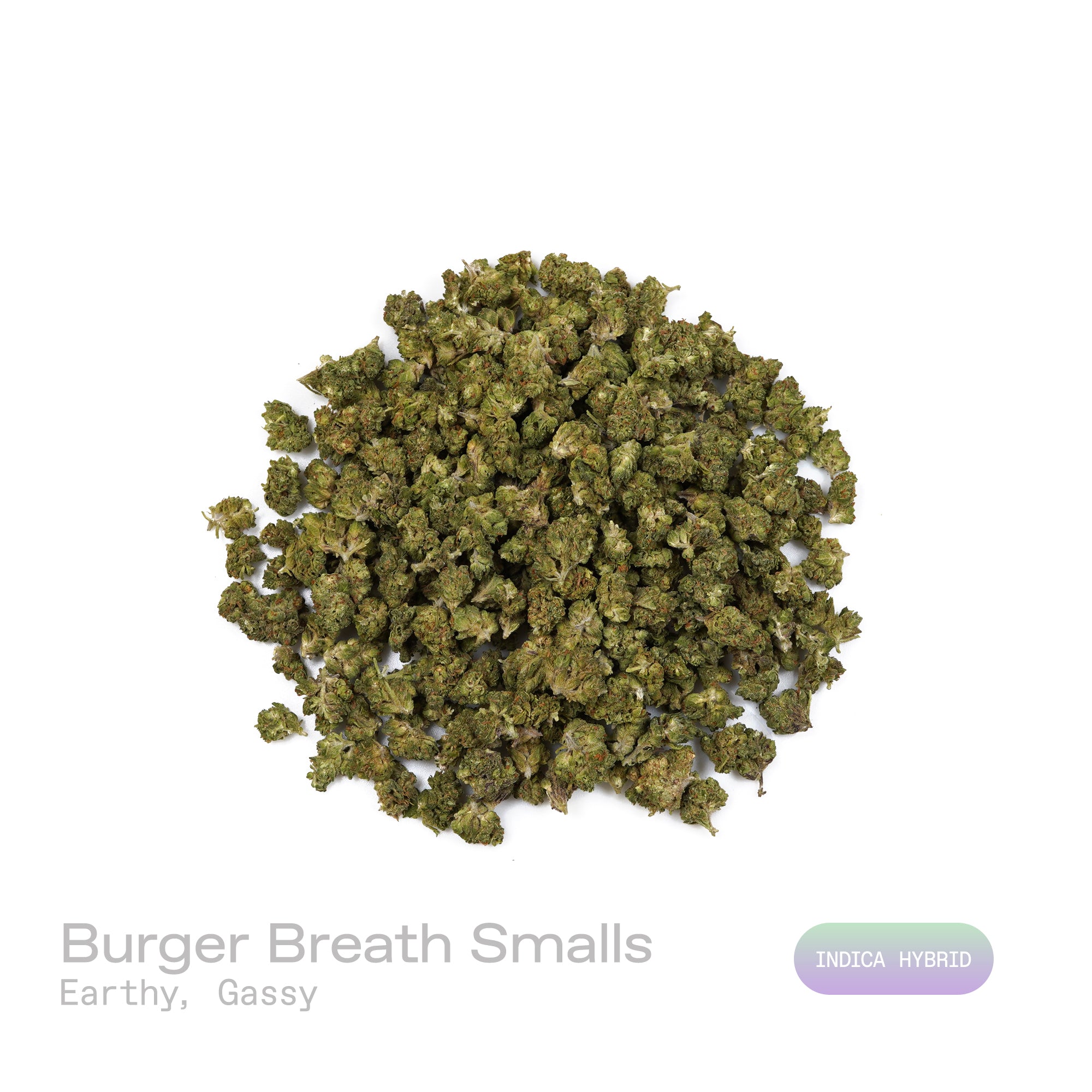 PUFFY Burger Breath (smalls) is an indica-dominant hybrid THCa strain, bred from the renowned cross of GMO Cookies and Larry OG F8. The aroma combines deep earthy notes with a sharp gassy punch, creating a bold and grounding profile. Visually, the buds are compact and resinous, with rich green hues, bright orange pistils, and a frosty trichome finish that may show hints of purple. Consumers describe a high that starts with an uplifting wave of euphoria and light creativity before melting into deep physical 