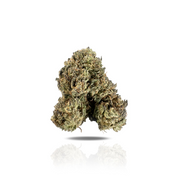 PUFFY California Octane (Cali Octane) is an indica-dominant hybrid THCa strain, born from the potent cross of Dream Queen and Papaya. This strain delivers a complex aromatic profile, blending fuel-like notes with creamy vanilla, subtle guava, and a touch of sweet ice cream layered over a diesel undertone. The flavor profile stays true to its aroma, expect a bold fusion of citrus, ripe berry, and creamy diesel, making each hit rich and memorable. Consumers often describe the experience as euphoric and uplift