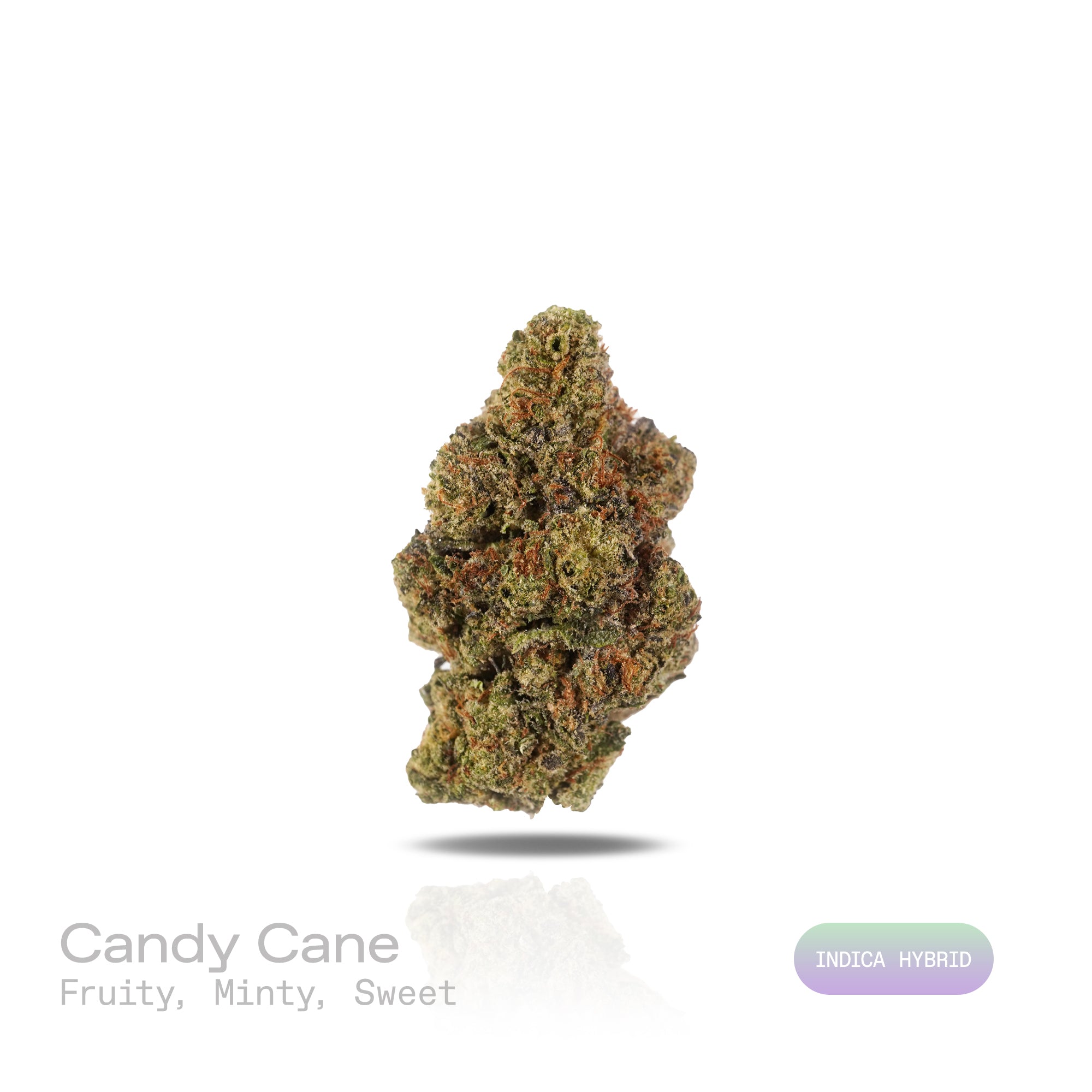 PUFFY Candy Cane is an indica-dominant hybrid THCa strain, crafted from the legendary trio of Mango, White Widow and AK-47. The aroma bursts with bright, fruity notes, complemented by refreshing hints of mint and a lingering sweet finish. Visually, dense buds showcase vibrant bright green and deep purple hues, adorned with fiery orange pistils and a sparkling layer of frosty trichomes. Consumers often report a euphoric mental high that elevates mood, gentle body relaxation that eases tension and mild discom