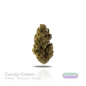 PUFFY Candy Cream is an indica-dominant hybrid THCa strain, born from the flavorful cross of Skywalker and Dolato. The aroma is a delightful blend of sweet, creamy vanilla with a bright, citrusy twist. Visually, the buds are dense and chunky, with bright greens, touches of purple, fiery orange pistils, and a thick coat of frosty trichomes. Consumers often describe the experience as deeply relaxing yet joyfully uplifting, bringing waves of euphoria and sparking bursts of creativity.
