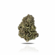 PUFFY Candy Gas is a balanced hybrid THCa strain crafted from the legendary pairing of Gelato 41 (Bacio Gelato) and Runtz. Its aroma bursts with sweet candy notes layered over sharp gassy undertones and a bold chemical edge flavors that seamlessly carry through in each smooth, flavorful hit. Visually, it features dense, mid-sized buds with bright green and deep purple hues, fiery orange pistils, and a thick blanket of sparkling trichomes. Consumers often report a perfectly balanced high that starts with a e