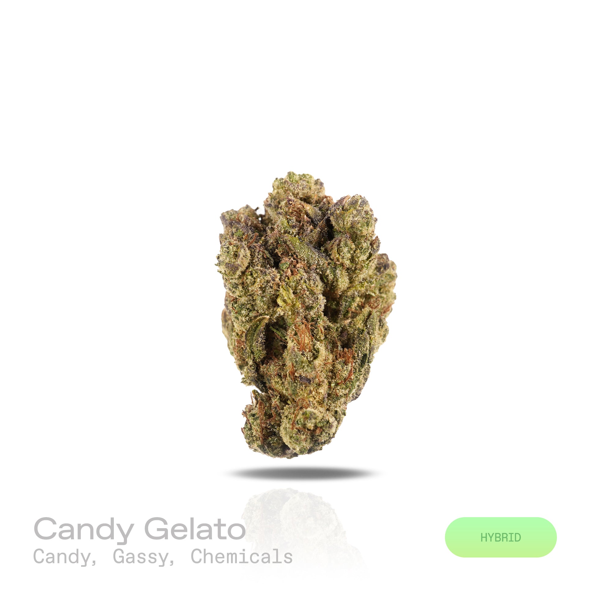  Candyland × GG4 × Gelato. The aroma is a bold fusion of sweet candy notes, sharp gassy undertones, and a punch of chemical sharpness that creates a strikingly memorable profile. Visually, its dense, colorful nugs range from dark forest green to vibrant purple, often coated in a heavy layer of frosty trichomes. Consumers commonly report a fast-acting euphoric lift, delivering mental stimulation