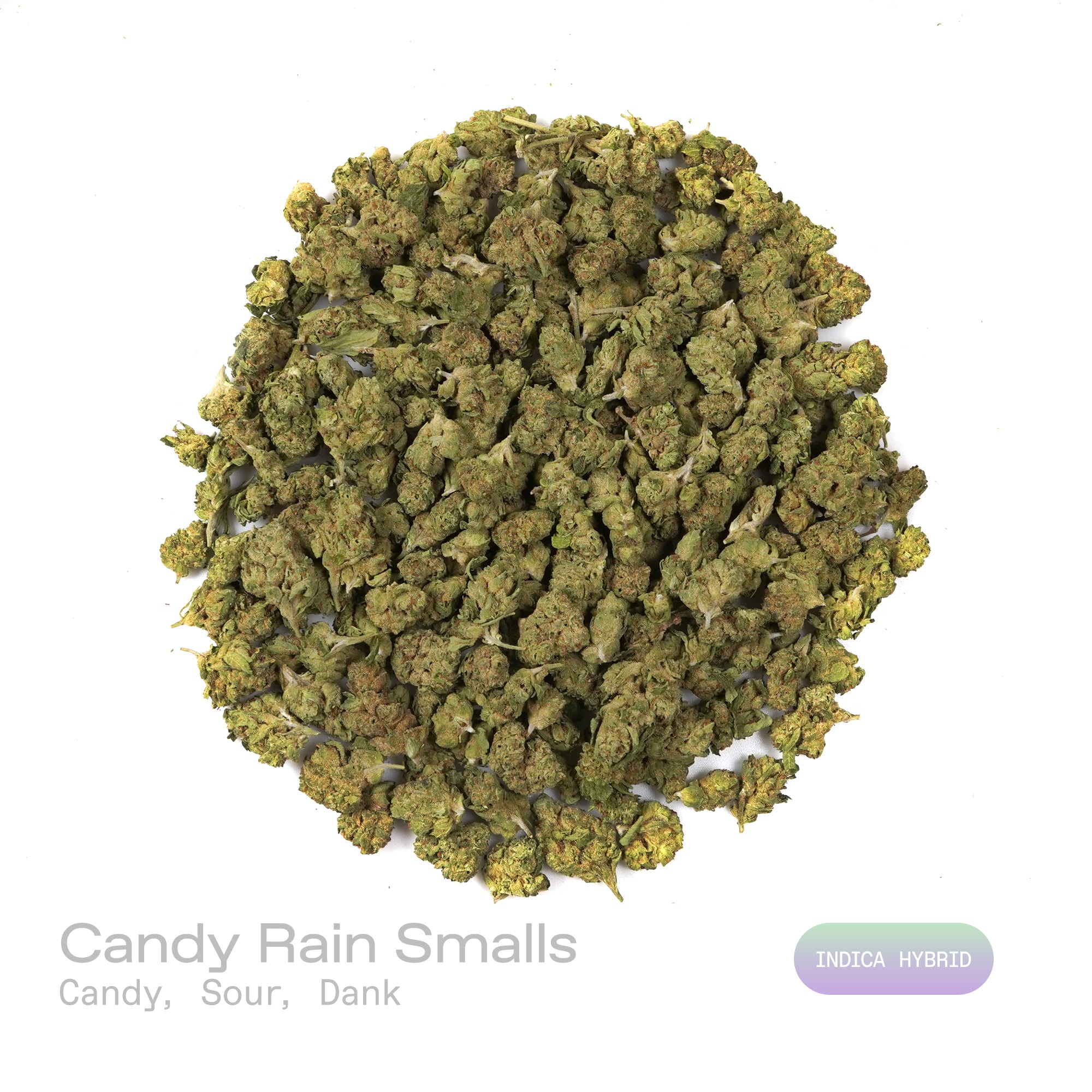 PUFFY Candy Rain (smalls) is an indica-dominant hybrid THCa strain, crafted from the flavorful cross of London Pound Cake × Gelato. The aroma is a bold and playful blend of sweet candy, tangy sour notes, and rich, dank undertones, creating a vibrant and memorable scent profile. Visually, dense green buds with purple hues and fiery orange pistils are coated in sticky trichomes. Consumers often report experiencing a happy and euphoric mood, accompanied by relaxed, calm body sensations and uplifted, giggly fee