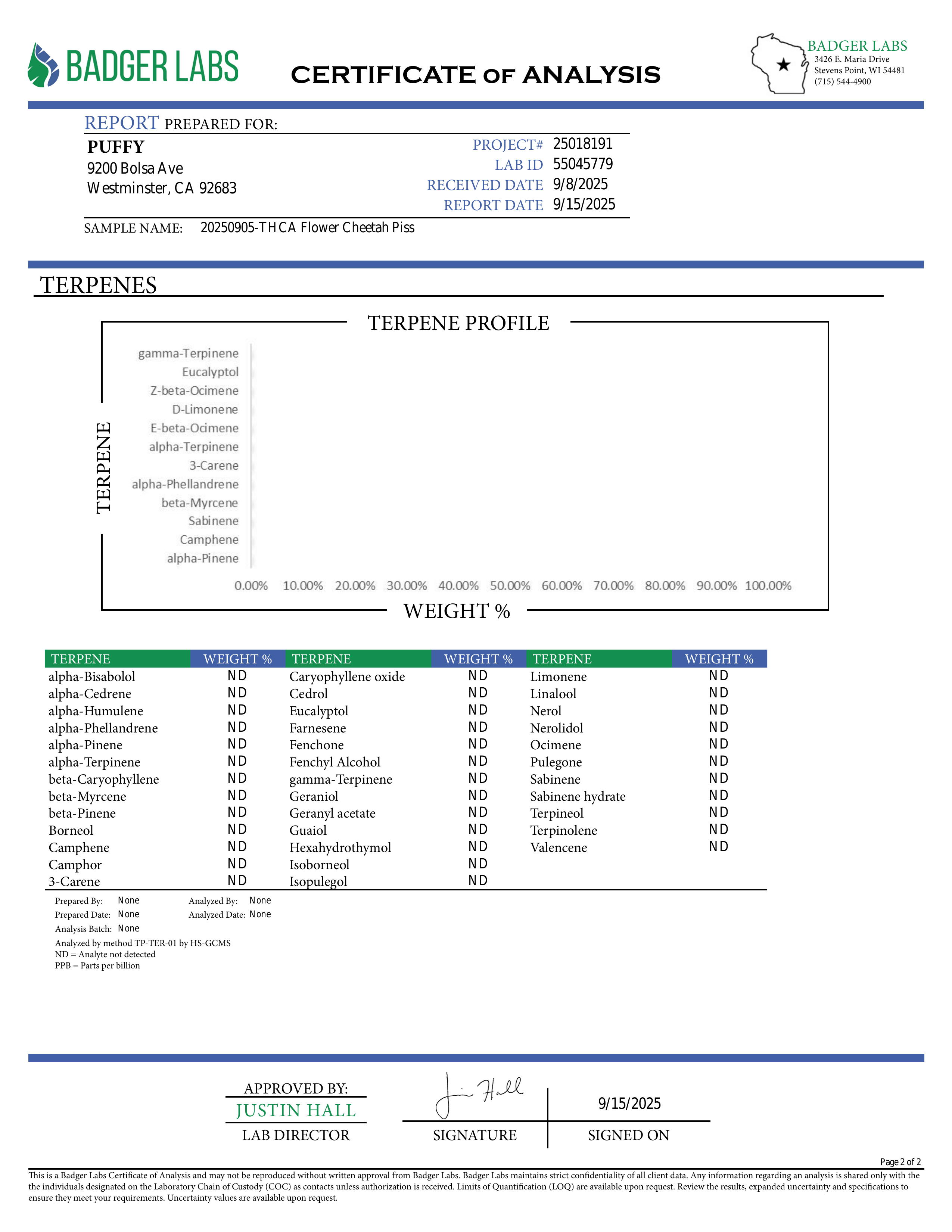 PUFFY Cheetah Piss is a balanced hybrid THCa strain, expertly bred from a powerhouse trio: Lemonnade, Gelato 42, and London Poundcake 97. The aroma bursts with vibrant tropical and fruity notes, layered with subtle hints of exotic spices that add depth and intrigue. Visually, the dense, vibrant green buds are frosted with trichomes, accented by orange pistils and occasional subtle purple hues. Consumers often experience an immediate, uplifting rush that sharpens focus and brings euphoric clarity, making soc