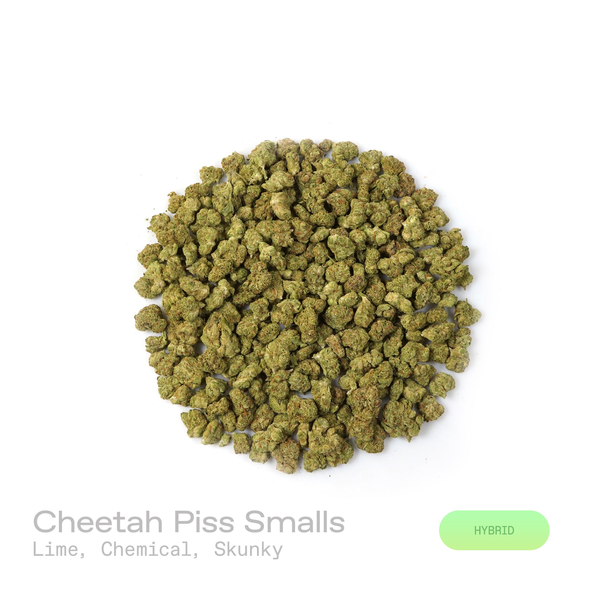 PUFFY Cheetah Piss (smalls) is a balanced hybrid THCa strain, expertly bred from a powerhouse trio: Lemonnade, Gelato 42, and London Poundcake 97. The aroma is a sharp and zesty blend of lime, pungent skunk, and bold chemical notes. Visually, the dense, vibrant green buds are frosted with trichomes, accented by orange pistils and occasional subtle purple hues. Consumers often experience an uplifting rush that sharpens focus and brings euphoric clarity, making social interactions effortless and tasks easier,