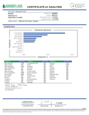 PUFFY Chemlato (smalls) is a balanced hybrid THCa strain, born from the cross of Gelato #33 and Chemdawg. The aroma opens with bright citrus notes, layered with a sharp fuel-like edge and a deeply pungent finish. Visually, the buds are dense, featuring light green and purple hues, vibrant orange pistils, and a sparkling layer of trichomes. Consumers often report an initial uplifting and euphoric mental high that sparks creativity, gradually transitioning into a calm and mellow body sensation.
