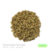 PUFFY Chemlato (smalls) is a balanced hybrid THCa strain, born from the cross of Gelato #33 and Chemdawg. The aroma opens with bright citrus notes, layered with a sharp fuel-like edge and a deeply pungent finish. Visually, the buds are dense, featuring light green and purple hues, vibrant orange pistils, and a sparkling layer of trichomes. Consumers often report an initial uplifting and euphoric mental high that sparks creativity, gradually transitioning into a calm and mellow body sensation.
