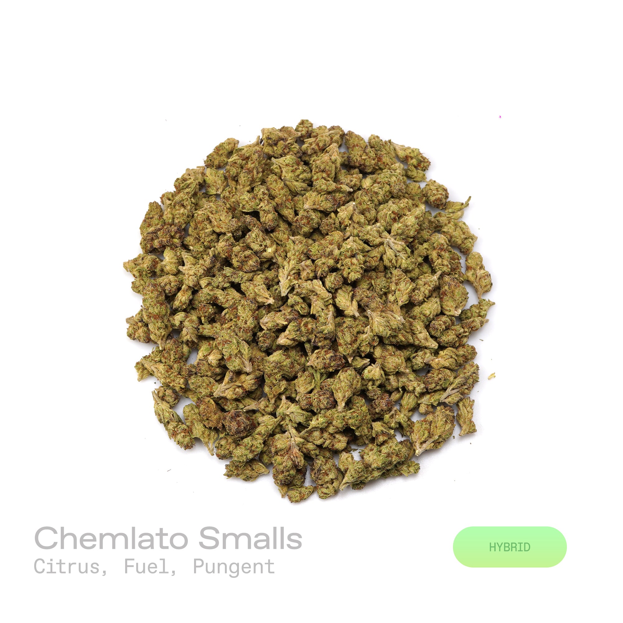 PUFFY Chemlato (smalls) is a balanced hybrid THCa strain, born from the cross of Gelato #33 and Chemdawg. The aroma opens with bright citrus notes, layered with a sharp fuel-like edge and a deeply pungent finish. Visually, the buds are dense, featuring light green and purple hues, vibrant orange pistils, and a sparkling layer of trichomes. Consumers often report an initial uplifting and euphoric mental high that sparks creativity, gradually transitioning into a calm and mellow body sensation.
