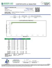 PUFFY Cherry Bomb THCa flower is a potent hybrid known for its balanced effects, offering an uplifting cerebral high alongside relaxing body sensations. With lineage tracing back to Hawaiian and California Indica strains, it delivers the perfect balance for an enjoyable experience without overwhelming effects. Offering sweet, fruity flavors mixed with earthy undertones, this strain is popular for its ability to relieve stress, boost mood, and promote creativity while keeping you calm. Cherry Bomb is a great