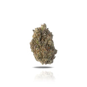 PUFFY Cherry Bomb THCa is a potent hybrid known for its balanced effects, offering an uplifting cerebral high alongside relaxing body sensations. With lineage tracing back to Hawaiian and California Indica strains, it delivers the perfect balance for an enjoyable experience without overwhelming effects. Offering sweet, fruity flavors mixed with earthy undertones, this strain is popular for its ability to relieve stress, boost mood, and promote creativity while keeping you calm. Cherry Bomb is a great option