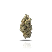 PUFFY Cherry Garcia, also known as "Garcia's Cherry" and "Cherry Gar See Ya", is a delightful hybrid THCa strain created by crossing Animal Cookies with 3x Crazy. Known for its balanced effects, users often describe it as calming with continued use, providing a smooth transition from initial energy to relaxation.Cherry Garcia delivers a happy, relaxed, and euphoric experience, with many reporting it brings out the giggles and helps improve mood. Its flavor profile leans on the sweet side, featuring vibrant 
