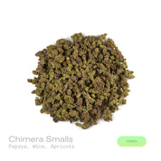 PUFFY Chimera Smalls is a well-balanced hybrid strain born from the legendary cross between White Widow and Blueberry lineages. The aroma is a lush blend of ripe papaya, sweet apricots, and a rich, wine-like depth that adds a sophisticated finish. Visually, the buds are dense and heart-shaped, showcasing dark olive green hues with bright undertones, thin orange hairs, and a sparkling coat of golden-white trichomes. Consumers often report an uplifting cerebral buzz that sparks creativity and euphoria, follow