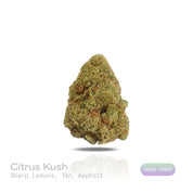 PUFFY Citrus Kush is an indica-dominant  hybrid THCa strain, widely believed to be a cross of Master Kush with a citrus-forward strain, though its true parentage remains uncertain and varies by source. The aroma hits with sharp bursts of lemon layered over deep, tarry notes and a bold hint of asphalt, creating a strikingly intense profile. Visually, the buds are dense and compact, showcasing deep forest-green hues highlighted by vivid yellow-orange pistils and a heavy frost of shimmering trichomes. Consumer