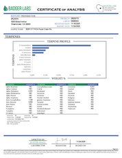 PUFFY Cream Pie is an indica-dominant hybrid THCa strain, created by crossing Wedding Cake × Triangle Kush. The aroma is a delightful blend of sweet cookies, subtle herbal notes, and a juicy hint of ripe peach. Visually, the dense buds boast vivid green and purple hues, bright orange pistils, and a sparkling layer of trichomes. Consumers often report a soothing body high and calming effects, with potential medical benefits for stress relief, chronic pain management, and improving sleep for those seeking rel