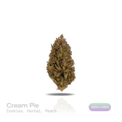 PUFFY Cream Pie is an indica-dominant hybrid THCa strain, created by crossing Wedding Cake × Triangle Kush. The aroma is a delightful blend of sweet cookies, subtle herbal notes, and a juicy hint of ripe peach. Visually, the dense buds boast vivid green and purple hues, bright orange pistils, and a sparkling layer of trichomes. Consumers often report a soothing body high and calming effects, with potential medical benefits for stress relief, chronic pain management, and improving sleep for those seeking rel