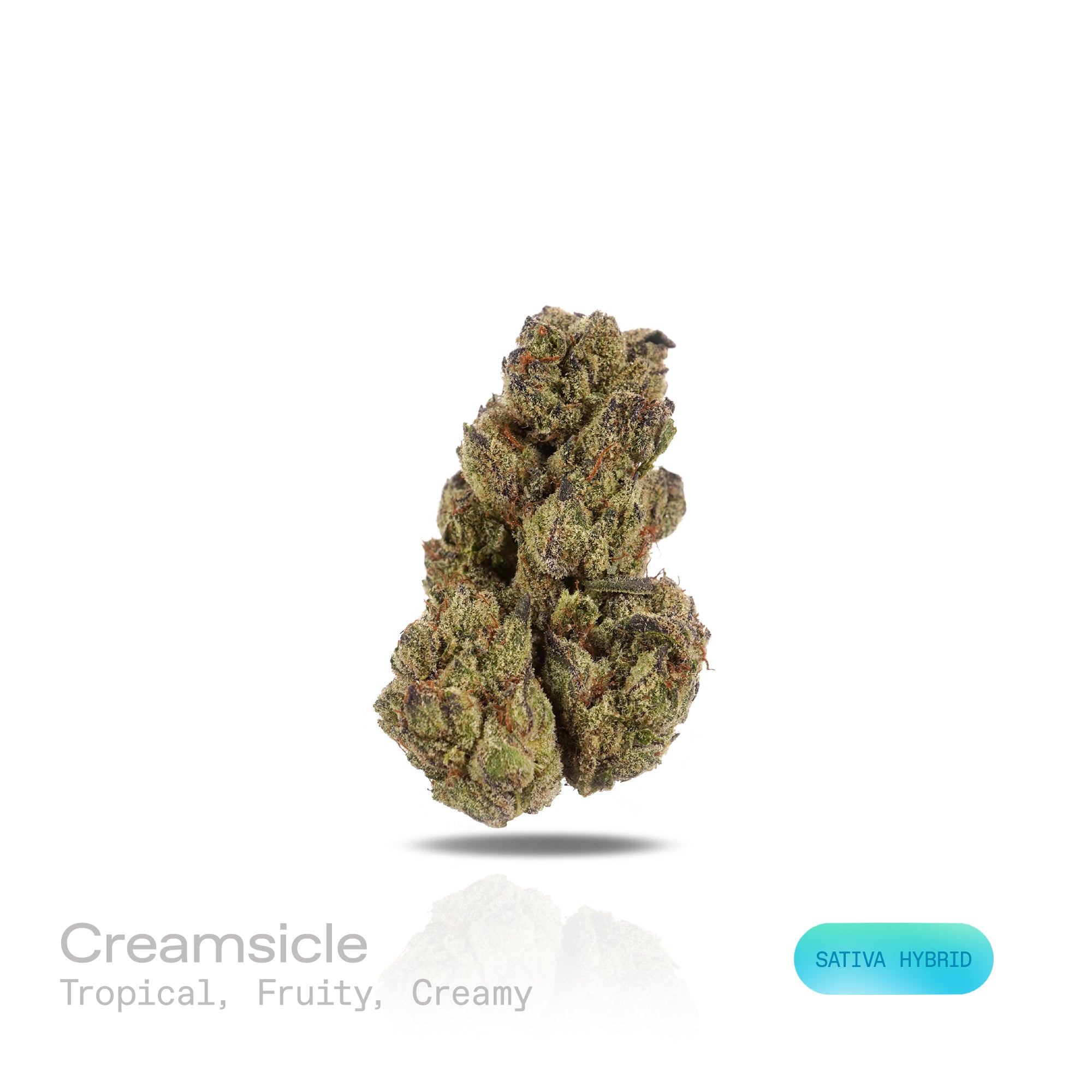 PUFFY Creamsicle is a sativa-dominant hybrid THCa strain, born from the flavorful cross of Orange Crush and Juicy Fruit. The aroma is a delightful blend of tropical, fruity, and creamy notes that create a smooth and inviting scent profile. Visually, the buds are compact and resinous, showcasing vibrant green hues intertwined with fiery orange pistils and a shimmering layer of frosty trichomes. Consumers often report a gentle, wave-like onset that lifts the mood with euphoric, cerebral effects, gradually mel