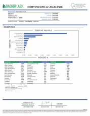 PUFFY THCa Pop Rocks: The unique whipping technique required to produce badder causes the cannabinoids to crystalize and create a smooth, creamy consistency. This wax is ultra-potent and easy to load onto a dab nail, thanks to its soft and malleable form.