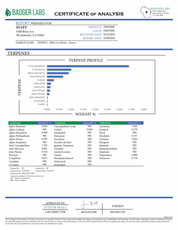 PUFFY THCa concentrate Guava is a standout sativa-leaning hybrid and a prized phenotype of the renowned Gelato strain. Known for its irresistible fusion of fruity sweetness and gassy undertones, Guava delivers a flavorful experience that’s perfect for those with a sweet tooth. Its vibrant aroma and uplifting effects make it an ideal choice for starting the day on a bright note—offering a smooth, energizing high that inspires focus, creativity, and good vibes from the first puff.