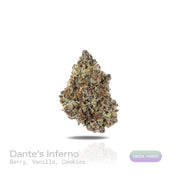 PUFFY Dante's Inferno is an indica-dominant hybrid THCa strain, born from the powerful cross of Oreoz and Devil Driver. The aroma blends sweet berries with creamy vanilla and a warm, comforting cookie note, creating a rich and inviting scent. Visually, dense bright green buds with purple hues and fiery orange pistils are coated in sticky trichomes. Consumers often report an initial uplifting cerebral euphoria with a boost in mood, creativity, and focus, followed by deep body relaxation and soothing stress r