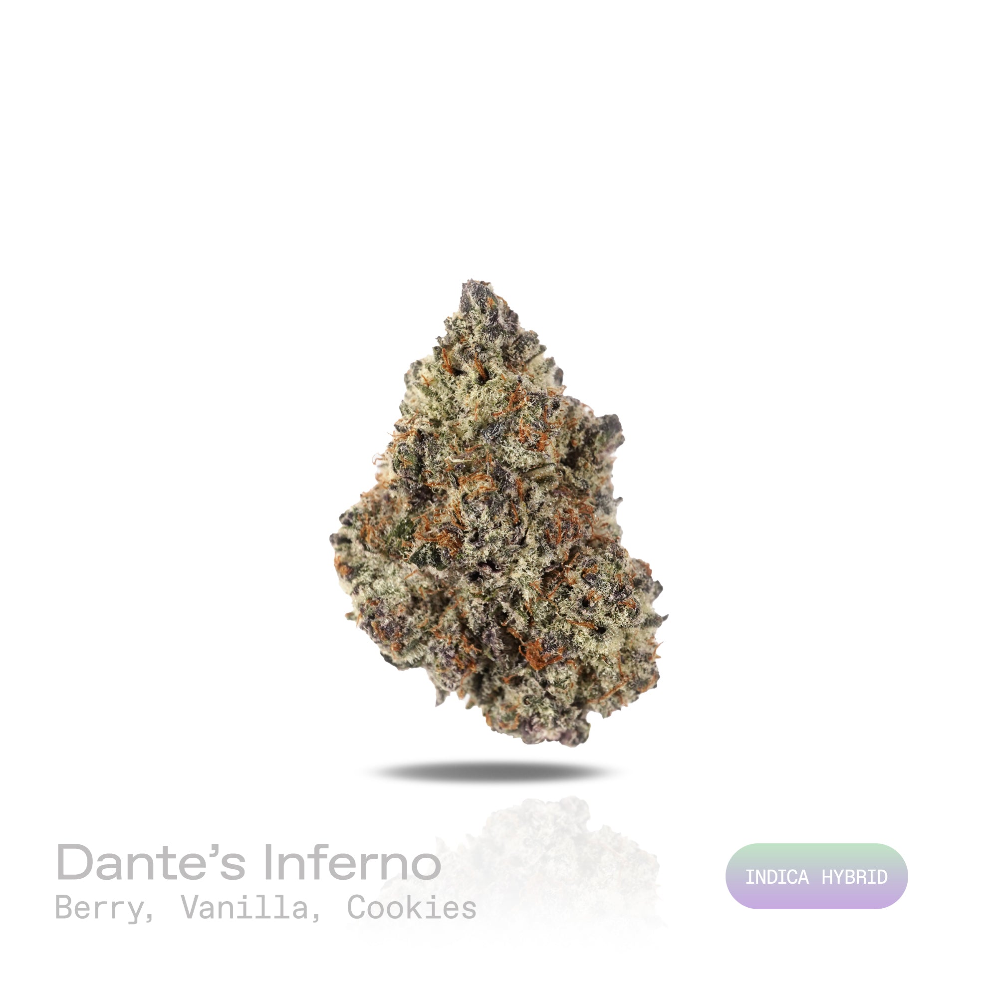 PUFFY Dante's Inferno is an indica-dominant hybrid THCa strain, born from the powerful cross of Oreoz and Devil Driver. The aroma blends sweet berries with creamy vanilla and a warm, comforting cookie note, creating a rich and inviting scent. Visually, dense bright green buds with purple hues and fiery orange pistils are coated in sticky trichomes. Consumers often report an initial uplifting cerebral euphoria with a boost in mood, creativity, and focus, followed by deep body relaxation and soothing stress r