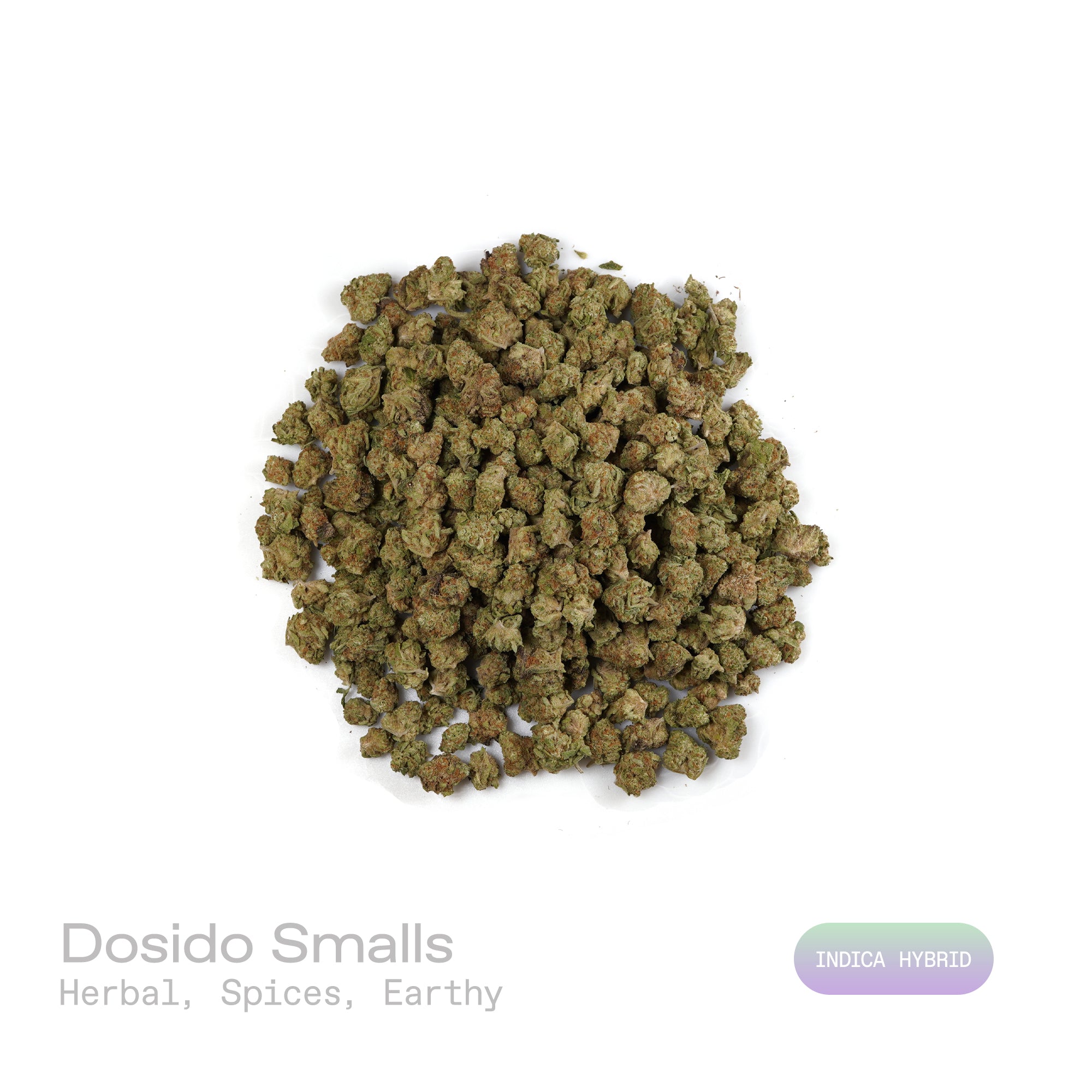 PUFFY Dosido (smalls) is an indica-dominant hybrid THCa strain, born from the legendary cross of Girl Scout Cookies (GSC) × Face Off OG. The aroma carries an earthy base accented by herbal undertones and a touch of warm spice. Visually striking, with dense medium buds in deep green and purple tones, accented by bright orange pistils and a frosty coat of milky-white trichomes. Consumers often report a calming body high with uplifting mental clarity, making it a favorite for balanced relaxation and relief.
