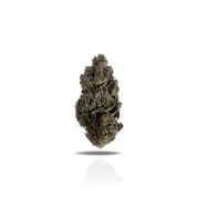 PUFFY Double Runtz THCa is an indica strain, expertly bred from Detroit Runtz and Forbidden Runtz. This potent blend delivers a complex and captivating aroma, combining gasoline, floral notes, jasmine, and lavender for a bold yet refined experience. Its rich flavor profile balances sweet fruit, grape, and candy with a gassy undertone, offering a unique taste sensation. Infused with a diverse terpene profile—including Caryophyllene, Humulene, Limonene, and Linalool—this strain enhances both its soothing effe