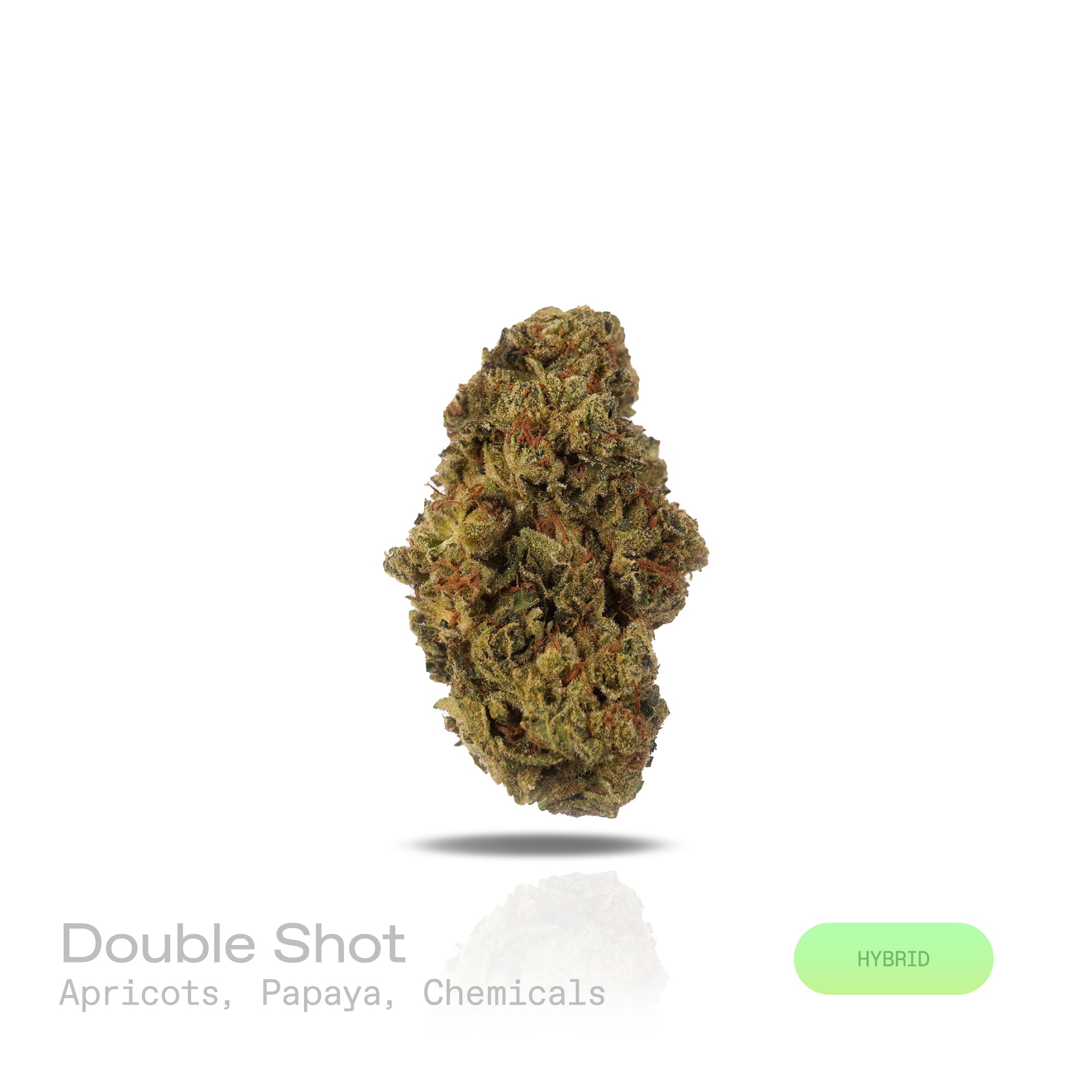 PUFFY Double Shot is a balanced hybrid THCa strain, born from the potent cross between London Pound Mintz and Jealousy. The aroma carries a bold mix of sweet apricot and tropical papaya layered with sharp, chemical undertones. Visually, the buds display deep green tones with hints of purple, bright orange hairs, and a frosty trichome coating. Consumers often report experiencing an uplifting head high that eases into deep physical relaxation and restful sleep.
