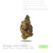 PUFFY Drippin Ain’t Eazy is a hybrid THCa strain, a lively and flavorful cross between Drip Station and Gary Poppins. A rich and complex aroma featuring bold diesel notes, layered with musky undertones, complemented by hints of ripe fruitiness, creamy smoothness, and a subtle, lingering sweetness. Visually, dense buds glisten with frosty trichomes, showcasing deep purple and pale green hues. Consumers often describe it as delivering a balanced experience that soothes and relaxes while stimulating creativity