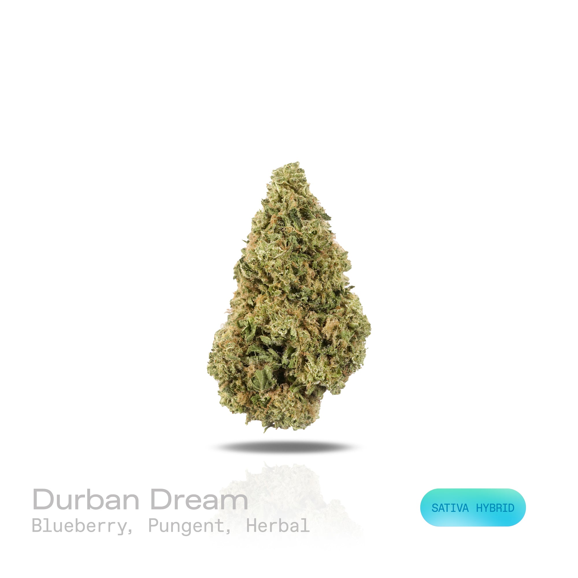 PUFFY Durban Dream is a sativa-dominant hybrid THCa strain, born from a legendary cross of Durban Poison and Blue Dream. The aroma is a rich blend of sweet blueberry, sharp pungent notes, and earthy herbal undertones, creating an inviting and complex scent profile. Visually, dense green buds with purple hues and fiery orange pistils are coated in sticky trichomes. Consumers often report a balanced experience, combining uplifting mental clarity and focus with a gentle body calmness, making it ideal for dayti