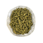 PUFFY Dutch Haze is a potent sativa THCa strain, expertly crafted from the legendary cross of Haze and Dutch Skunk. Aroma is intensely gassy with bold tar-like undertones, wrapped in a sharp, diesel-heavy scent that dominates the senses and lingers long after the first whiff. Visually, the buds are elongated and pointed, lime green with golden tones, coated in frosty trichomes and vibrant orange pistils. Consumers often describe this strain as energetic, uplifting, and euphoric, perfect for daytime use, as 